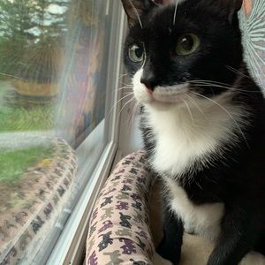 Meet your Posher, Rachel